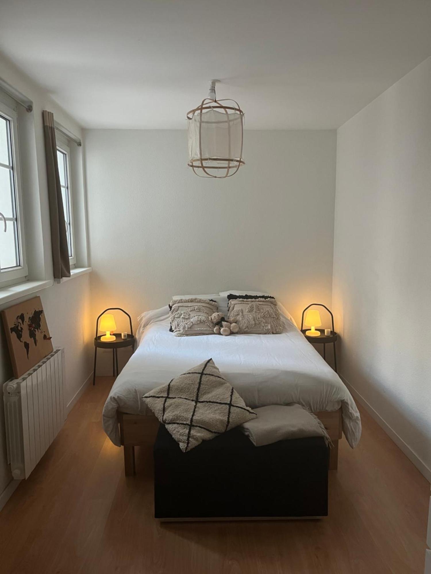Joli Appartement Au Coeur De Straatsburg Buitenkant foto