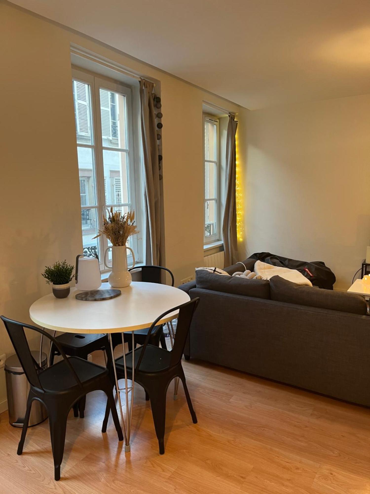 Joli Appartement Au Coeur De Straatsburg Buitenkant foto